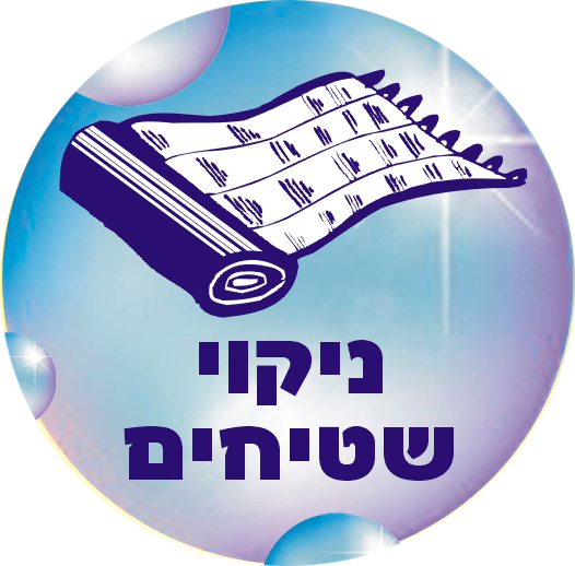 מכבסת נטלי - ניקוי שטיחים